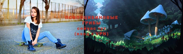 дмт Струнино