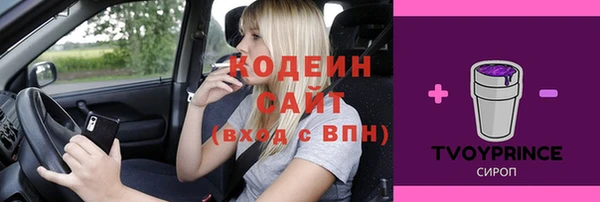 МДПВ Богородск