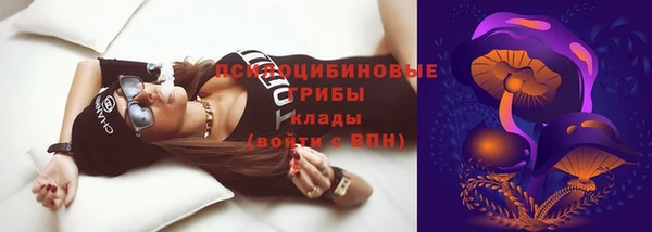 дмт Струнино