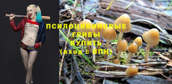 МДПВ Богородск
