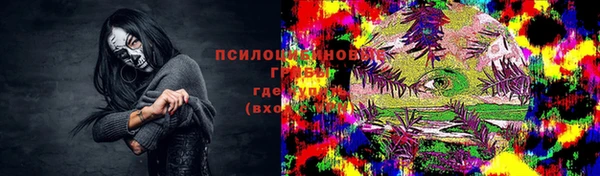ECSTASY Богородицк